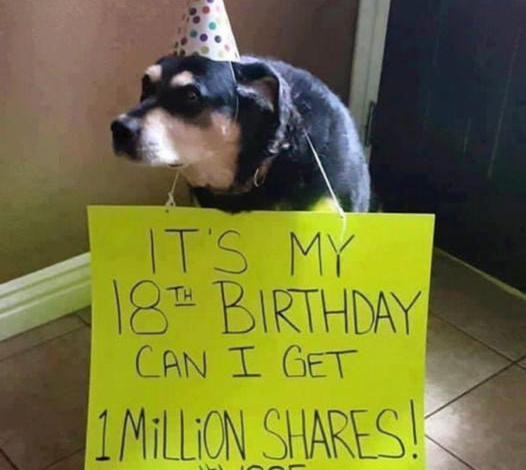 Heartwarming Tale of Max’s Birthday: A Humble Pooch Wishes for 1 Million Shares as a Gift