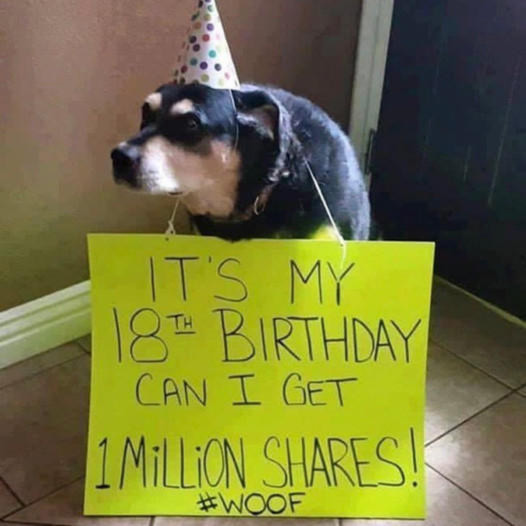 Heartwarming Tale of Max’s Birthday: A Humble Pooch Wishes for 1 Million Shares as a Gift