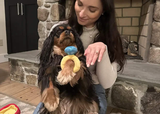 Daisy’s Pawfect Birthday Proposal: A Love Story That Includes Everyone’s Favorite Dog